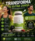 Planes Antioxidantes pdf
